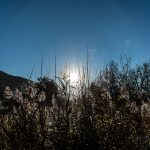 Inntal Sonnenaufgang Gegenlicht Mountains Tirol Herbst autumn - Michael Deutschmann, Akad. Mentalcoach - Photography - Mentalcoaching Hypnose Seminare - Mental Austria