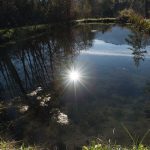 Teich Sonne Mieminger Plateau Mountains Tirol Herbst autumn - Michael Deutschmann, Akad. Mentalcoach - Photography - Mentalcoaching Hypnose Seminare - Mental Austria