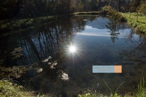 Teich Sonne Mieminger Plateau Mountains Tirol Herbst autumn - Michael Deutschmann, Akad. Mentalcoach - Photography - Mentalcoaching Hypnose Seminare - Mental Austria