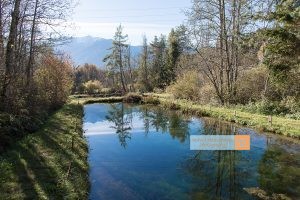 Teich Mieminger Plateau Mountains Tirol Herbst autumn - Michael Deutschmann, Akad. Mentalcoach - Photography - Mentalcoaching Hypnose Seminare - Mental Austria