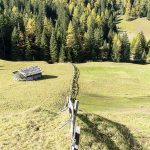 Obernberger See Almwiese Holzzaun Berge Mountains Tirol Herbst autumn - Michael Deutschmann, Akad. Mentalcoach - Photography - Mentalcoaching Hypnose Seminare - Mental Austria