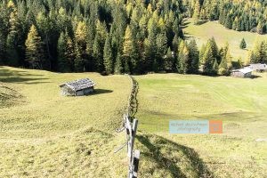 Obernberger See Almwiese Holzzaun Berge Mountains Tirol Herbst autumn - Michael Deutschmann, Akad. Mentalcoach - Photography - Mentalcoaching Hypnose Seminare - Mental Austria