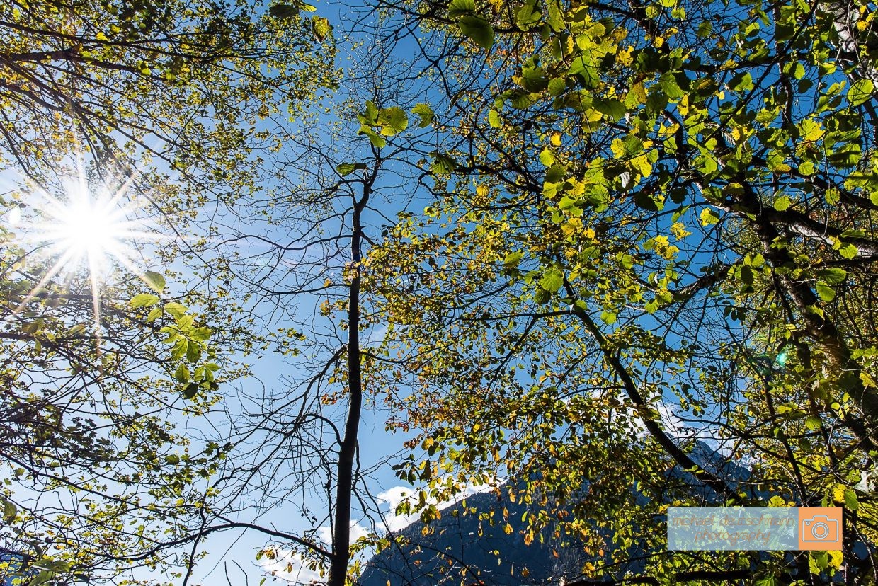 Herbstsonne bunte Blätter goldener Herbst Ötztal - Michael Deutschmann, Akad. Mentalcoach - Photography - Mentalcoaching Hypnose Seminare - Mental Austria