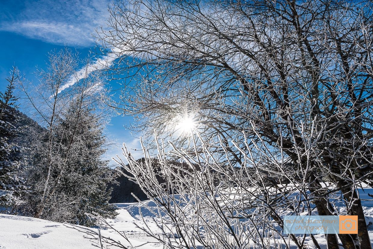Winterlandschaft - Michael Deutschmann, Akad. Mentalcoach - Photography - Landscapes - Sports - Mentalcoaching Hypnose Seminare - Mental Austria