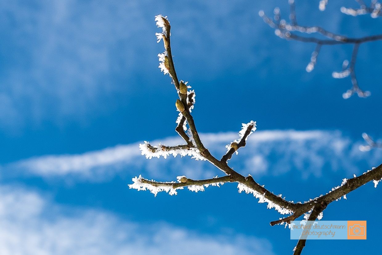 Winter - Michael Deutschmann, Akad. Mentalcoach - Photography - Landscapes - Sports - Mentalcoaching Hypnose Seminare - Mental Austria